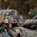 advanced audit log identifiers listed