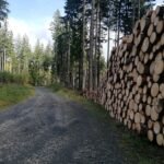 enterprise routing validation log identifiers