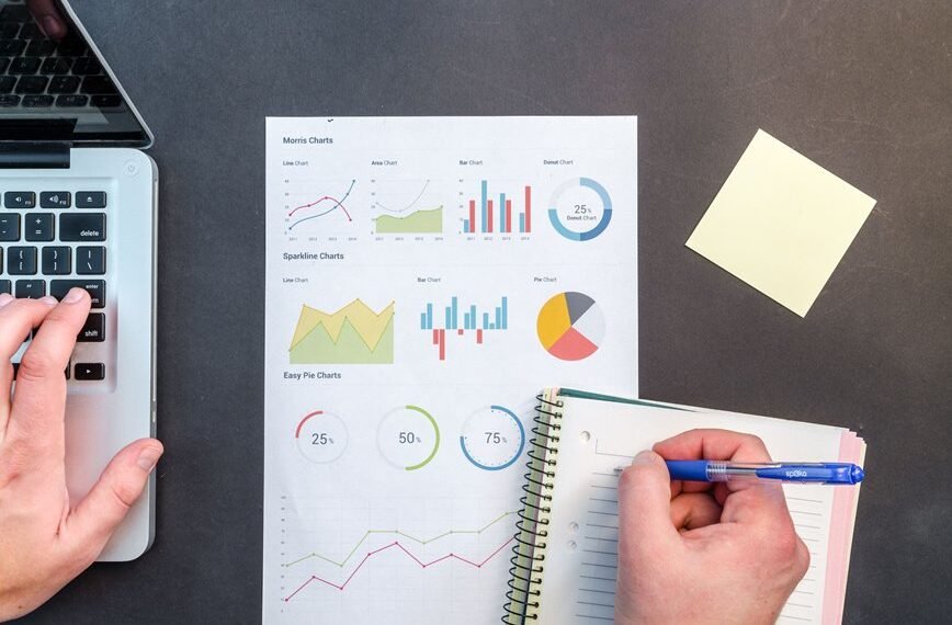 network integrity observation identifiers