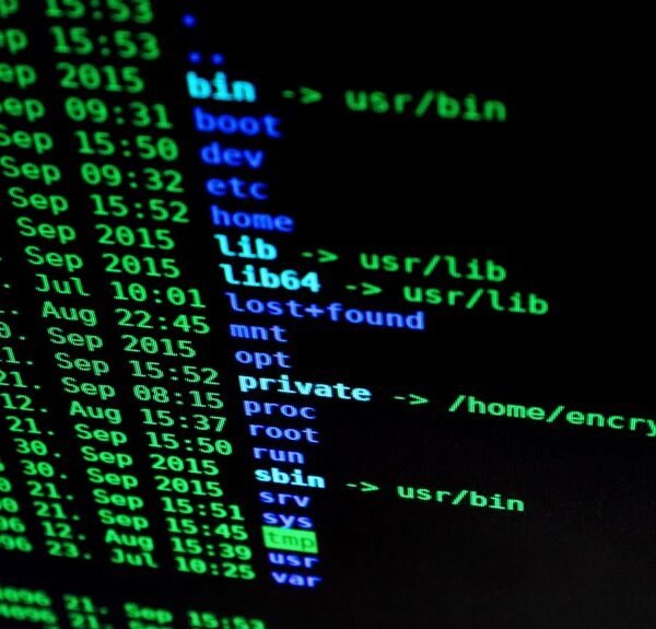 network phone numbers and ip address