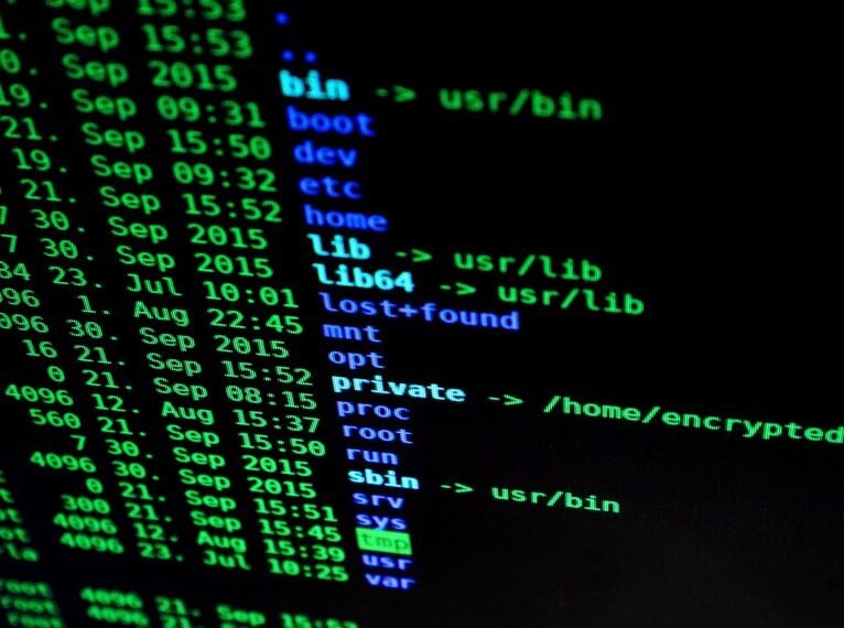 network phone numbers and ip address